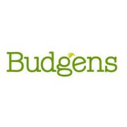Budgens franchise