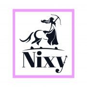 Nixy franchise