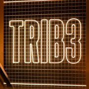 franchise TRIB3