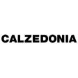 Calzedonia franchise