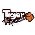 Tiger Cheer Cheerleading Club franchise