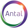Antal International franchise