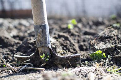Top 6 Gardening Franchises in the UK
