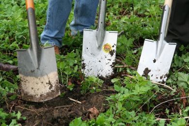 Put Your Green Thumb to Work With These 6 Garden Maintenance Franchises