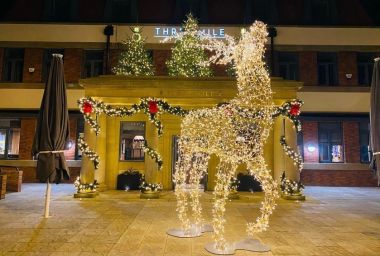 Customer Spotlight: Celebrating a Very Covid Christmas with the Christmas Decorators